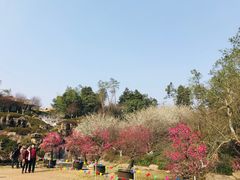 -秀丽东方