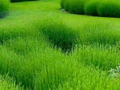 -永盈茶餐厅(中山四路店)