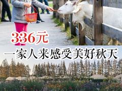 -前小桔亲子创意农场·草莓采摘·露营烧烤