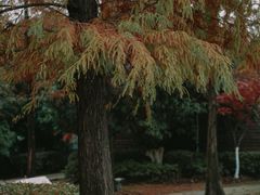 -诺贝尔湖公园