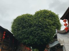 -三坊七巷历史文化街区