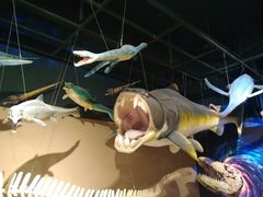 -沙沙哗啦海洋馆(华宇百花谷店)