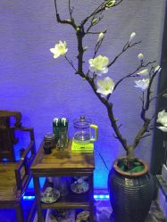 -RL Nail·瑞丽美甲美睫品牌原创店