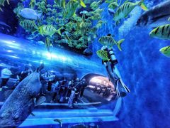 -成都浩海立方海洋公园