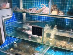 水产区-北戴河庆山饭店·海鲜砂锅粥(北戴河黑石路店)