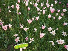 -长春公园(普阳街道)