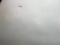 -全日本空输株式会社(上海办事处)