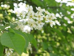 -沈阳辉山风景区