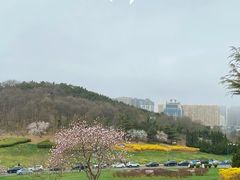 -童牛岭风景区