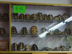 -华生行(大良店)