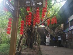 -丰都鬼城名山景区