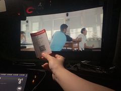 -枫花园汽车电影院(朝阳公园店)