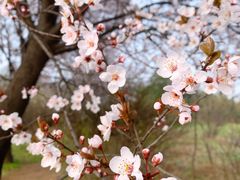 -秦始皇帝陵博物院(兵马俑)