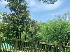 -WeLope紫金山探险公园