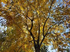 -永定河休闲森林公园