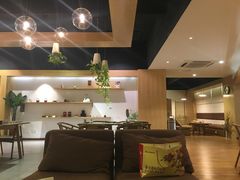 -柴务处·柴犬主题狗咖