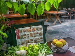 -缘生态云南菜·野生菌庭院餐厅(华侨城店)
