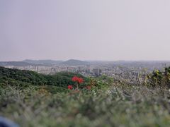 -广州市白云山风景名胜区
