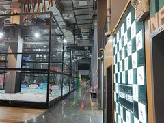 -运动派(北京店)