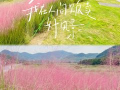 -东钱湖旅游度假区