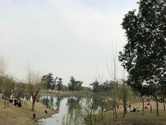 -两河城市森林公园