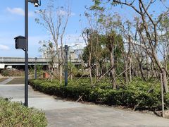 -春花秋色城市公园