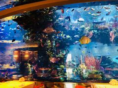 -迪拜帆船酒店海底餐厅
