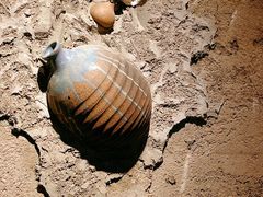 -破瓦寒窑·地摊烤羊排