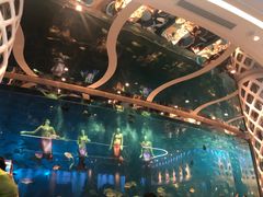 -瑞德姆美人鱼海底演艺主题餐厅(亚龙湾店)