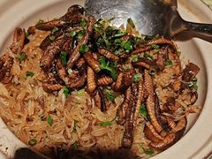 -侨美·唐荔园·40年地道粤菜