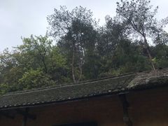 -韶山毛泽东同志故居