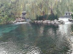-百脉泉景区