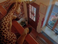 -长颈鹿咖啡(大学路店)