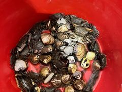 -启东黄金海滩景区