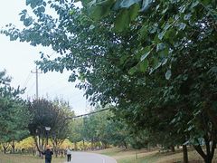 -坝河休闲公园