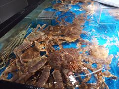 -盒马鲜生(馥邦国际店)