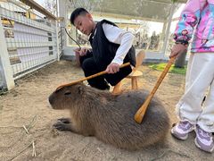 -盈香心动乐园