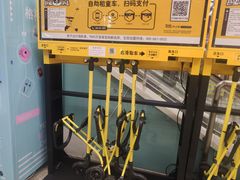 -伊藤洋华堂(温江店)