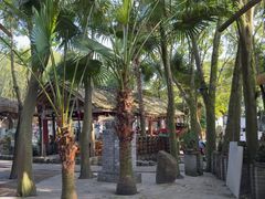 -土砂锅生态山庄·非遗砂锅雅鱼