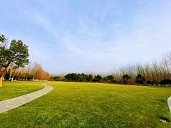 -合肥滨湖国家森林公园