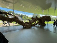 -金泽21世纪美术馆