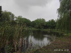 -梁鸿国家湿地公园