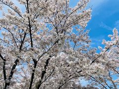 -幕燕滨江·燕子矶公园