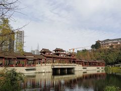 -重庆彩云湖湿地公园