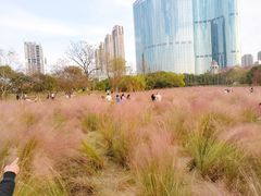 -艾溪湖湿地公园