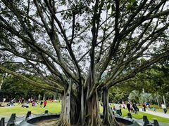-深圳仙湖植物园