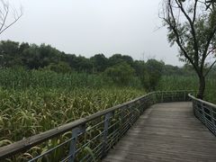 -西湖风景区-江洋畈生态公园