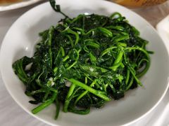 -明升萝卜汤