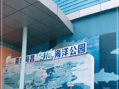 -海合安青岛极地海洋公园