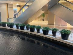 -上海明天广场JW万豪酒店